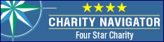 4Star-234x60-1